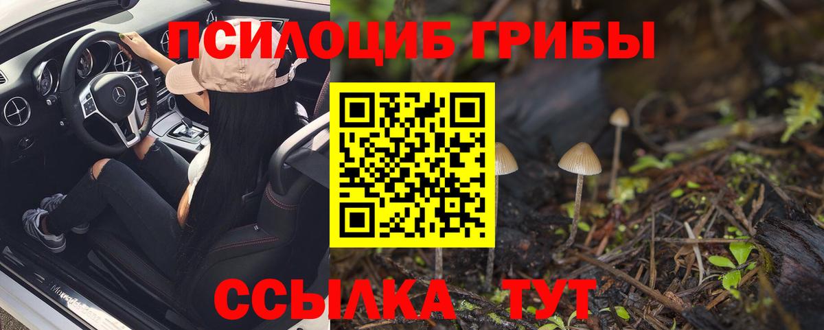 Галлюциногенные грибы MAGIC MUSHROOMS Камышин