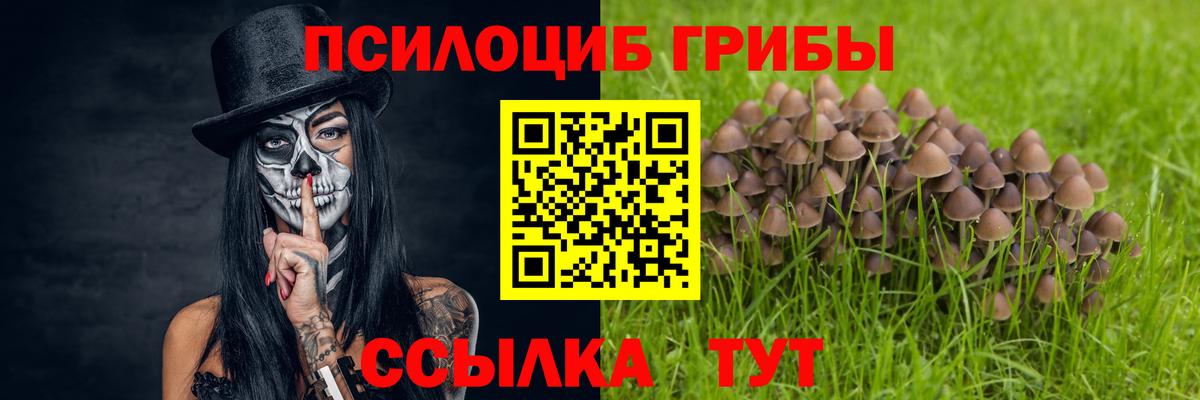 Галлюциногенные грибы Psilocybine cubensis  Вход с VPN  Псилоцибиновые грибы Cubensis  Камышин 